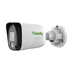 IP Video Surveillance